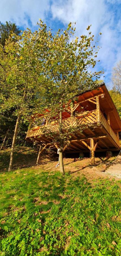 Hébergement de vacances Hiska Na Samem V Slovenj Gradcu *